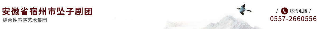 安徽省宿州市坠子剧团